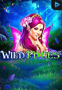 Bocoran RTP Wild Pixies di ZOOM555 | GENERATOR RTP SLOT